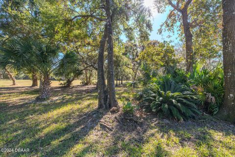 A home in Ormond Beach