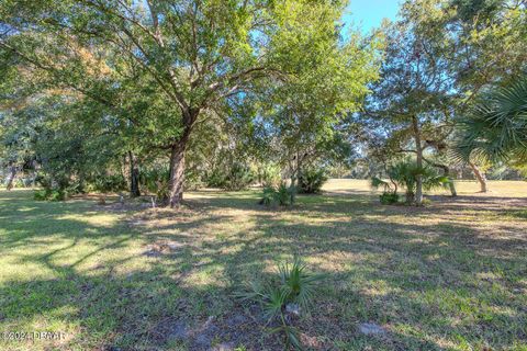 A home in Ormond Beach