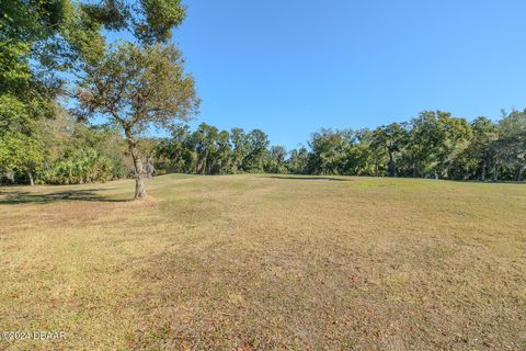 A home in Ormond Beach