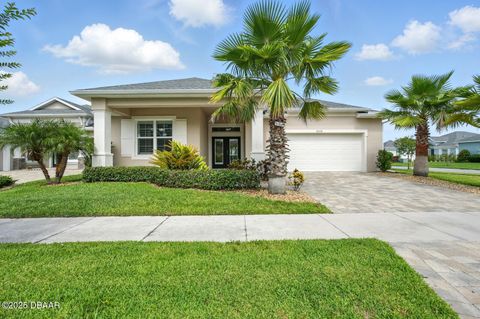3048 Borassus Drive New Smyrna Beach FL 32168