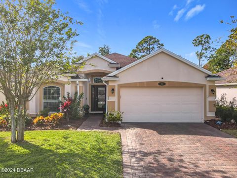 A home in Palm Coast