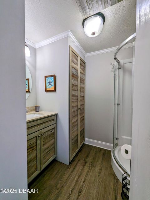 85 Heather Point Court New Smyrna Beach FL 32169