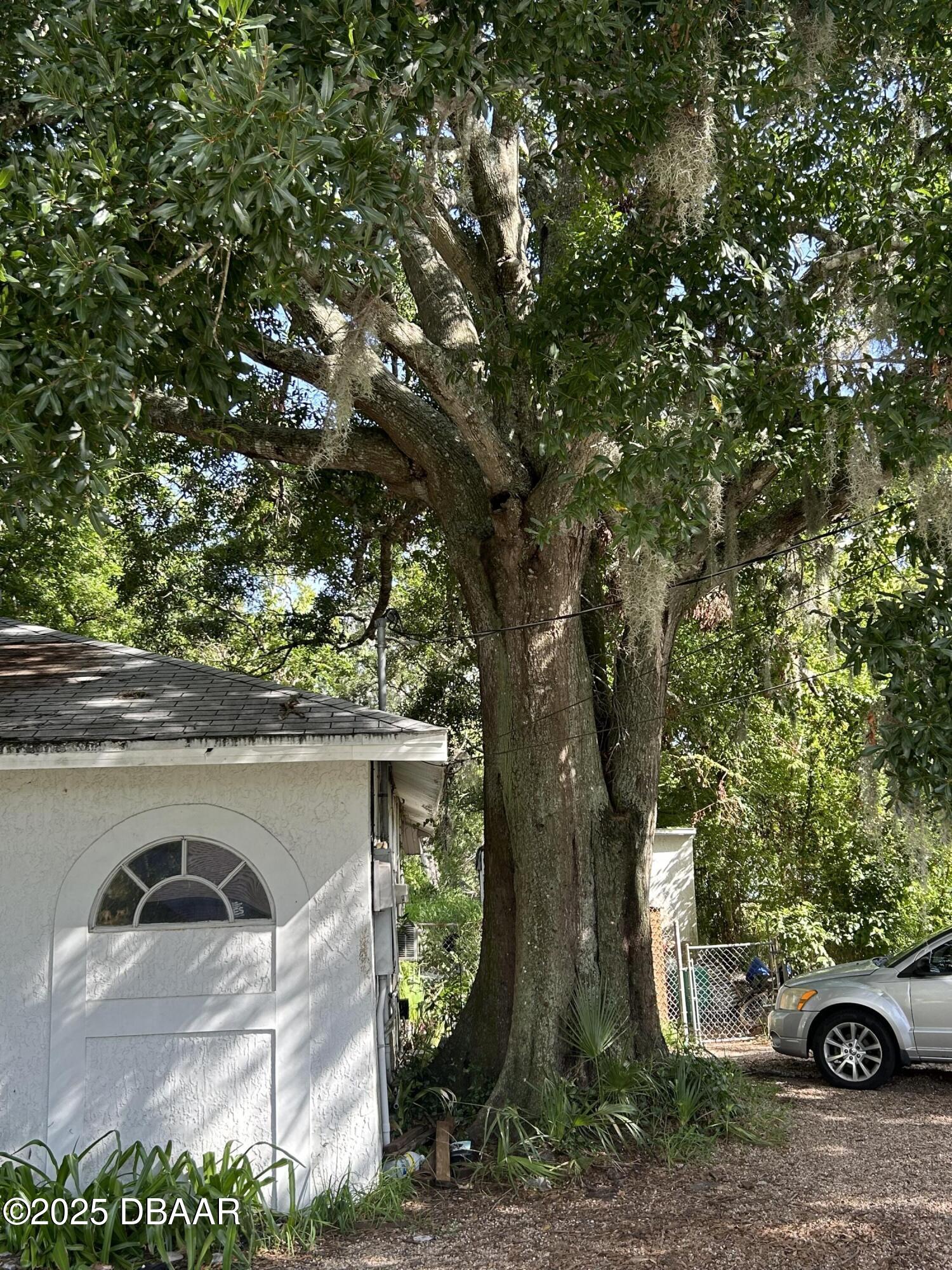 708 Verdell Street
