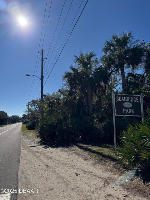 A home in Ormond Beach