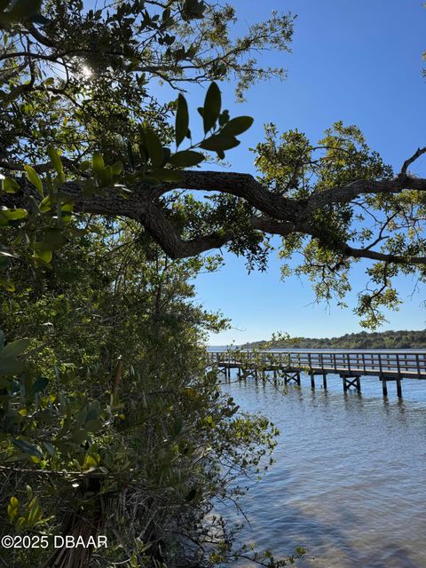 A home in Ormond Beach