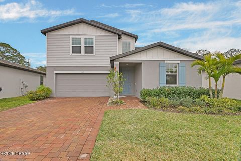 335 Sarah Nicole Way New Smyrna Beach FL 32168