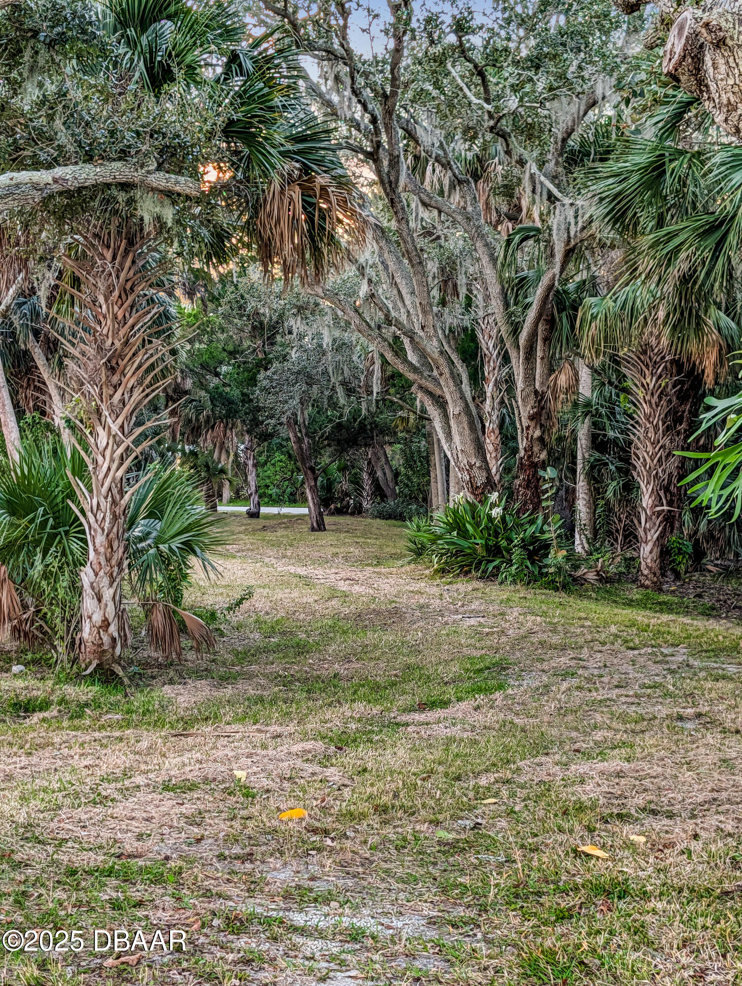 2263 S Palmetto Avenue