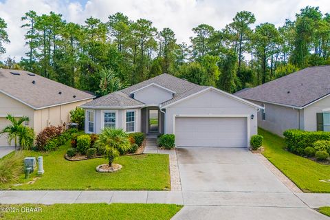 537 White Coral Lane New Smyrna Beach FL 32168