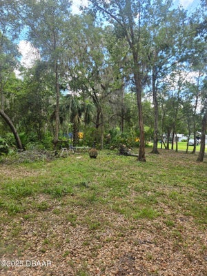 352 1ST ST, OSTEEN, FL 32764 - Image e07b8f5d2972eeee0726ebfcd7a8d1ed/3148716456