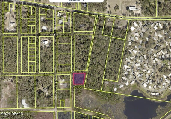 110 REYNOLDS RD, DE LEON SPRINGS, FL 32130 - Image e44dcafbefc791b9a830bcad44d7120e/2547818399