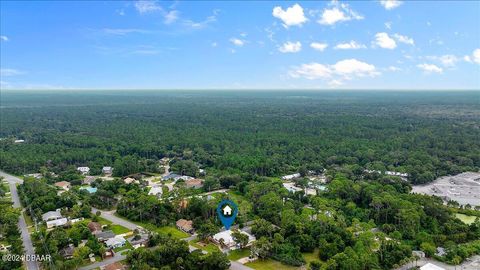 A home in Flagler Beach