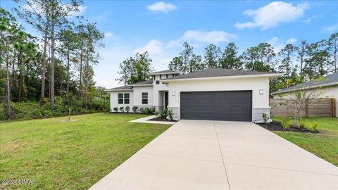 A home in Palm Coast