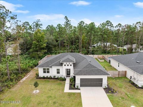 A home in Palm Coast