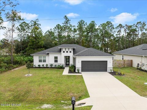 A home in Palm Coast