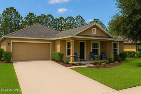 673 Elk River Drive Ormond Beach FL 32174