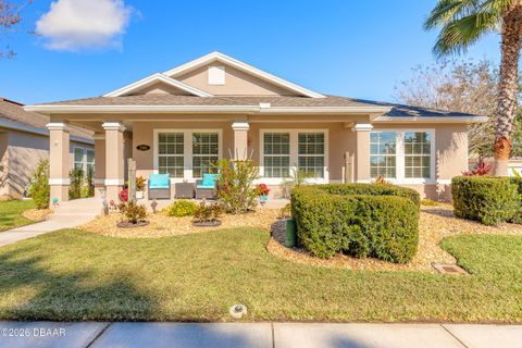 3361 Medici Boulevard New Smyrna Beach FL 32168