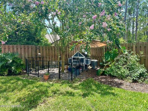 A home in Palm Coast