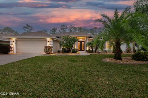 A home in Ormond Beach