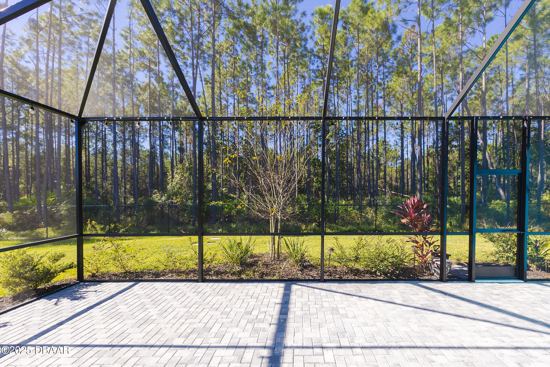 856 Margaritaville Avenue