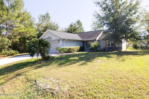 A home in Palm Coast