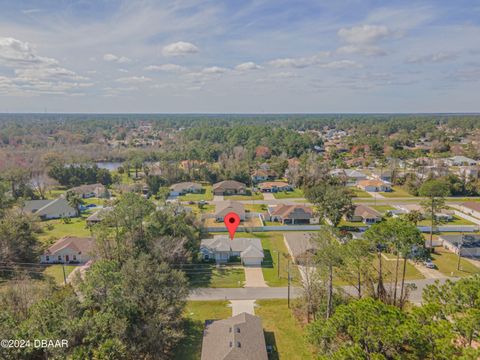 A home in Palm Coast