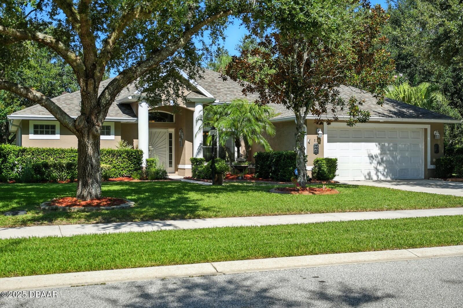 82 Chrysanthemum Drive