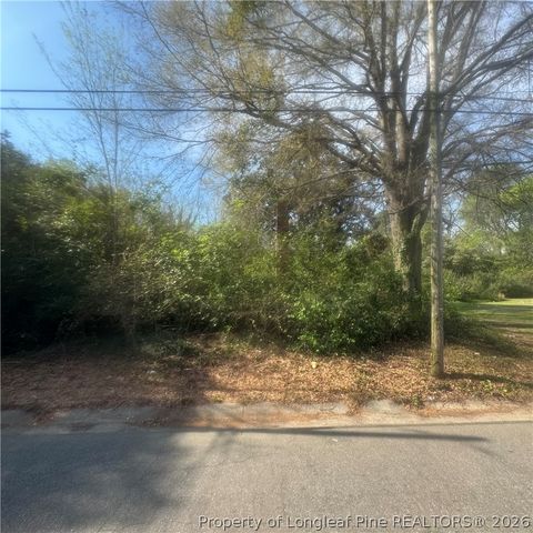 Photo of 228 Gulf Street, Laurinburg, NC 28352 (MLS # 759399)