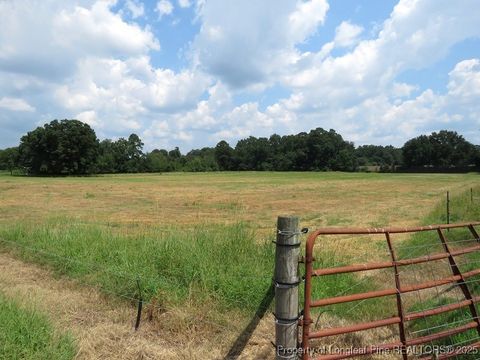 Tiny photo for 4745 NC 904 Highway, Fairmont, NC 28340 (MLS # 753978)