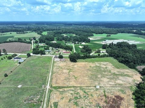 Tiny photo for 4745 NC 904 Highway, Fairmont, NC 28340 (MLS # 753978)