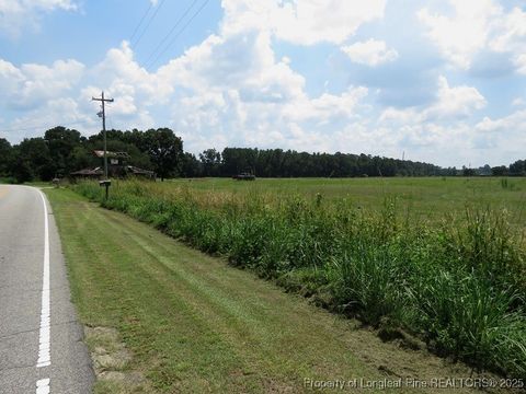 Tiny photo for 4745 NC 904 Highway, Fairmont, NC 28340 (MLS # 753978)