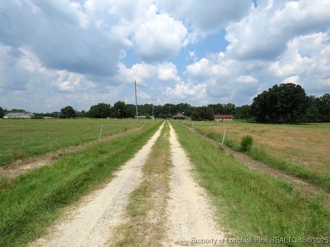 Tiny photo for 4745 NC 904 Highway, Fairmont, NC 28340 (MLS # 753978)