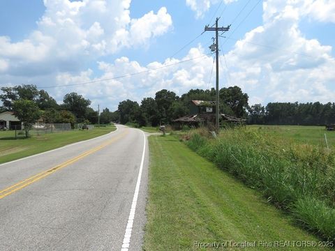 Tiny photo for 4745 NC 904 Highway, Fairmont, NC 28340 (MLS # 753978)