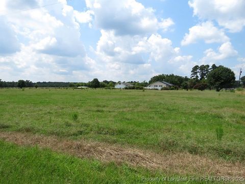 Tiny photo for 4745 NC 904 Highway, Fairmont, NC 28340 (MLS # 753978)