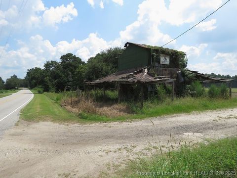 Tiny photo for 4745 NC 904 Highway, Fairmont, NC 28340 (MLS # 753978)