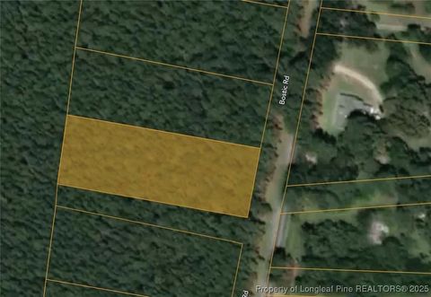 Tiny photo for TBD BOSTIC (LOT 10) Road, Laurinburg, NC 28352 (MLS # 754895)