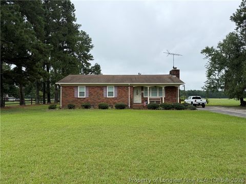 Photo of 672 E Palmer Road, Raeford, NC 28376 (MLS # 766634)