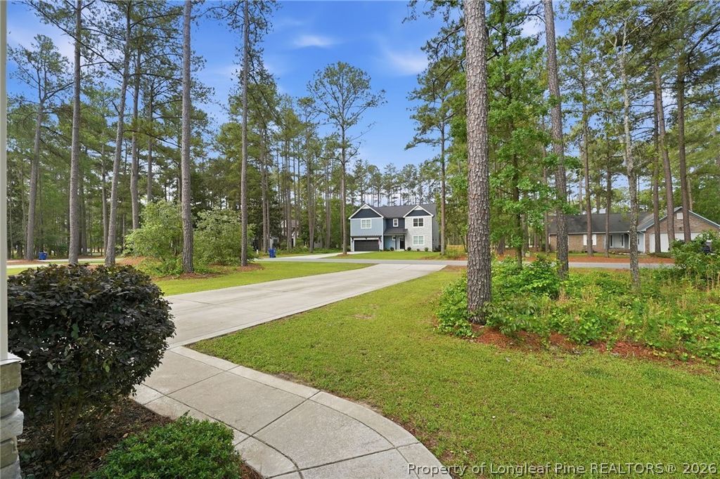 Photo of 15981 Old Orchard Court, Wagram, NC 28396 (MLS # 763500)