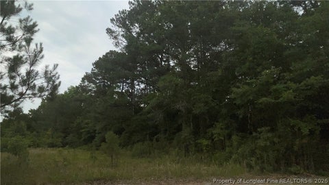 Photo of Sanderosa (0477-78-9254) Road, Fayetteville, NC 28312 (MLS # 768575)