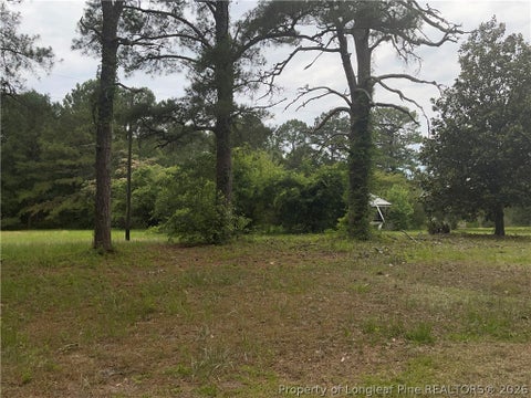 Tiny photo for Sanderosa (0477-78-9254) Road, Fayetteville, NC 28312 (MLS # 768575)