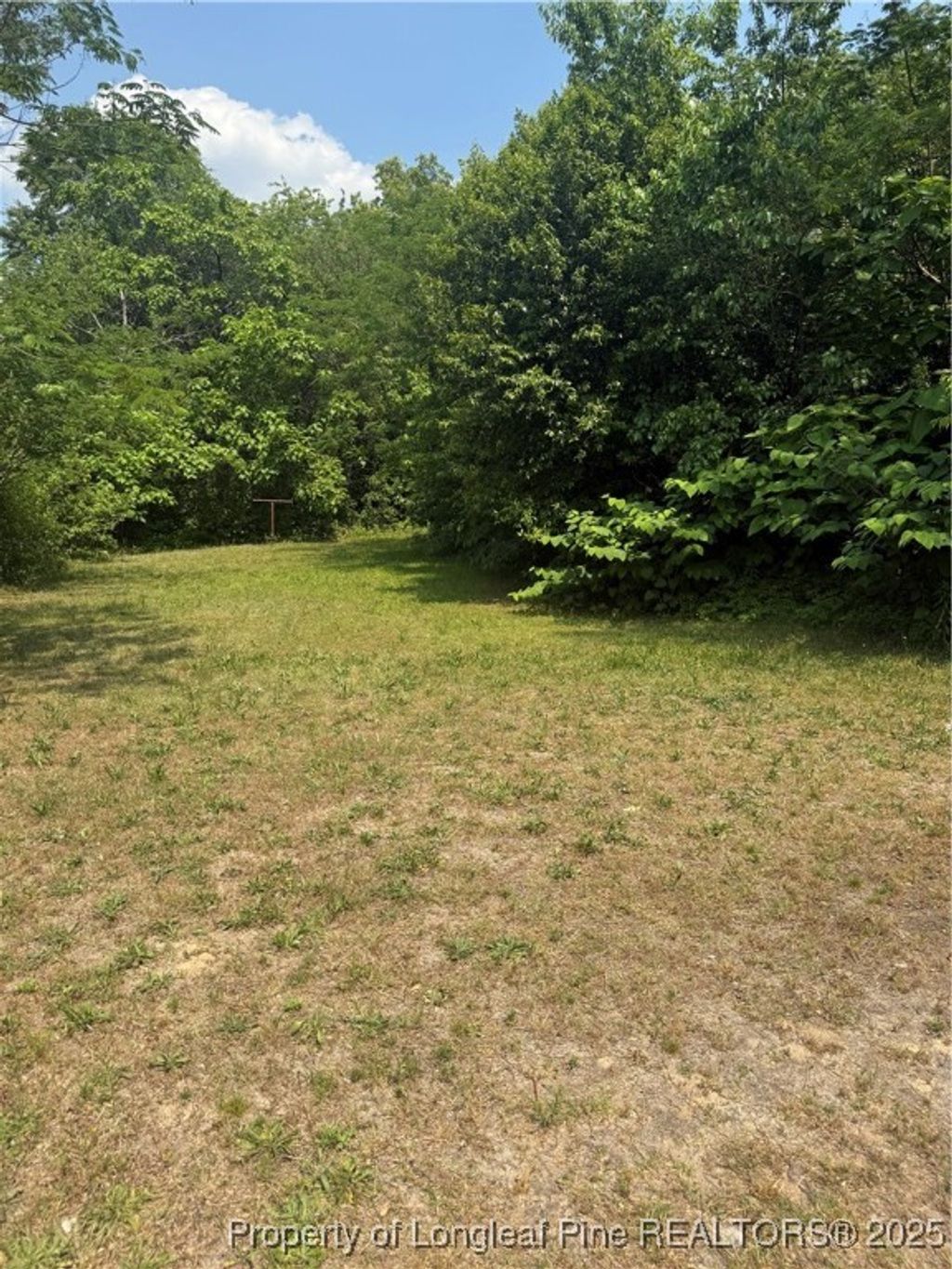 Photo of 117 6th Street, Spring Lake, NC 28314 (MLS # 743023)