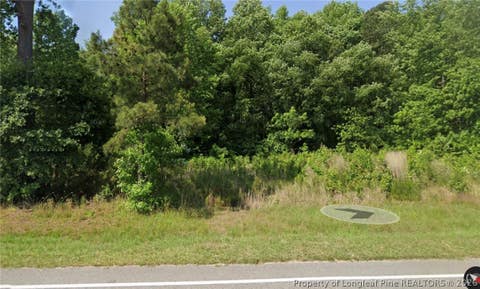 Photo of 2119 NC-222 W, Kenly, NC 27542 (MLS # 767133)