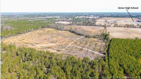 Photo of 990-1100 Kader Merrit Road, Rose Hill, NC 28458 (MLS # 757529)