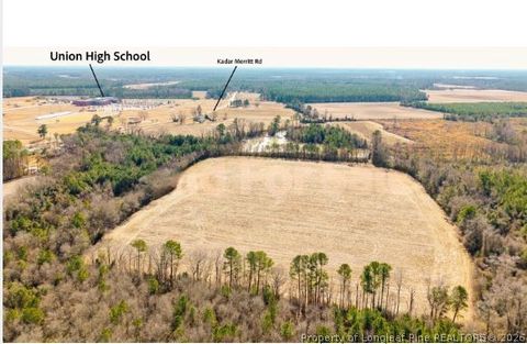 Tiny photo for 990-1100 Kader Merrit Road, Rose Hill, NC 28458 (MLS # 757529)