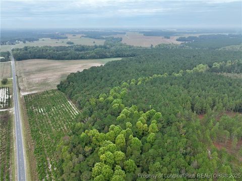 Photo of STUARTS MILL Road, Fairmont, NC 28340 (MLS # 751476)