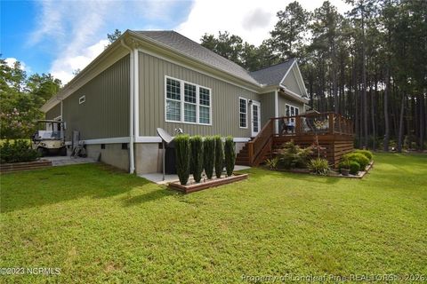 Tiny photo for 16540 spillway Drive, Wagram, NC 28396 (MLS # 766214)