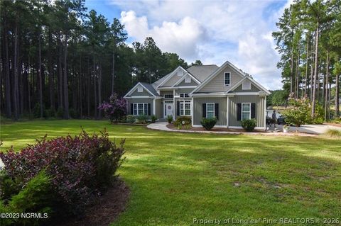 Photo of 16540 spillway Drive, Wagram, NC 28396 (MLS # 766214)