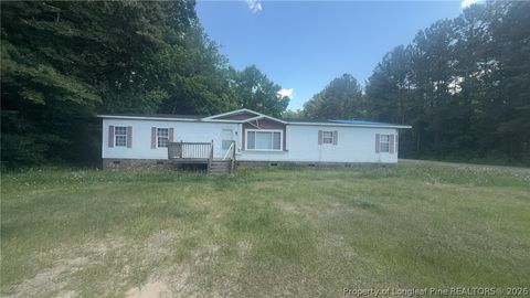 Photo of 10 Justin Road, Rowland, NC 28383 (MLS # 764593)