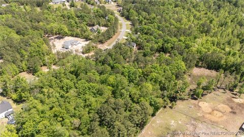 Tiny photo for 219 Stella Way, Cameron, NC 28326 (MLS # 742989)