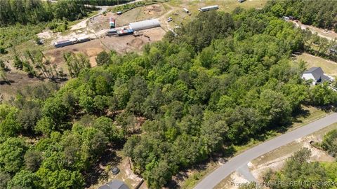 Tiny photo for 219 Stella Way, Cameron, NC 28326 (MLS # 742989)