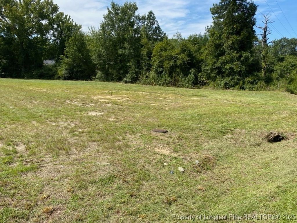 Photo of 352 Mckay Drive, Spring Lake, NC 28390 (MLS # 747306)